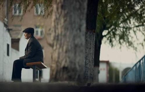 爸爸的谎言背景音乐,揭秘爸爸的旋律秘密