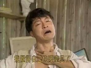 很火的港剧表情包