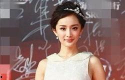 凤凰八卦马苏,凤凰八卦中的璀璨明星