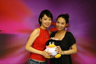 许哲佩疯子创作背景