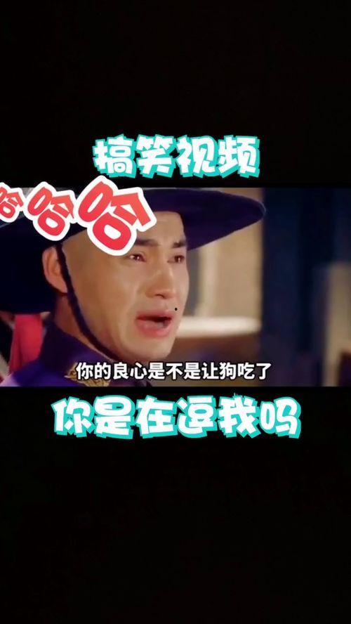 更多搞笑的电影儿,盘点年度十大爆笑电影盛宴